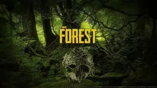 Bjorn In The Forest TRUMP WALL DREAMS!