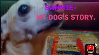 Sammie - My Dog's Story.