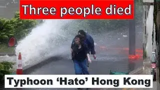 Typhoon Hato Hong Kong || Three people died ||