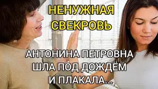 АНТОНИНА ПЕТРОВНА ШЛА ПОД ДОЖДЁМ И ПЛАКАЛА... НЕНУЖНАЯ СВЕКРОВЬ. Истории из жизни. Душевная история