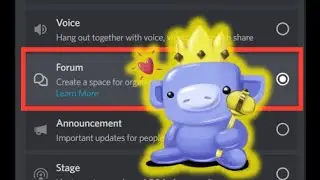 Discord FORUMS are here!