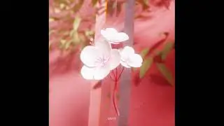 Austn (오스틴) - ENFP