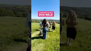 Come on a #Student Dog Walk 💚🌞🐾 #petshorts