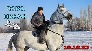 ЗАКАНЫН ОКЕАНЫ СЫНЫ КҮЧТҮҮ ⭐️😱18 декабря 2023 г.