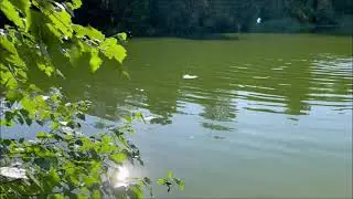 Пионерский пруд  Чапаевский поселок  Чебоксары