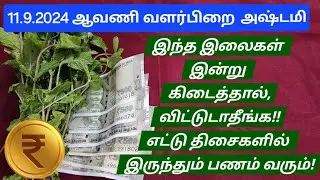 11.9.2024:இன்று இரவு 12 மணிக்குள்,இந்த வழிபாட்டை செய்பவர் அதிர்ஷ்டசாலிகள்!பணம் சேரும் யோகம் வரும்!