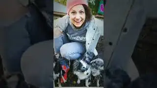 как и просили🌸