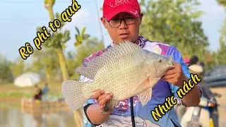 Thiên Xuyên Fishing - Chia sẻ Bài Mồi Rô Phi Mùa Đông tại Hồ Câu Đặng Xá