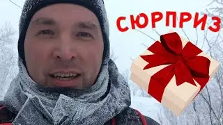Сюрприз для подписчиков