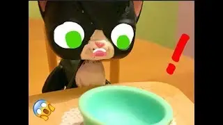 A Weird + Random LPS Video