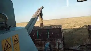 КОМБАЙН ВЕКТОР 410 НА ПОЛЕ / ВЫГРУЗКА ЗЕРНА В К700