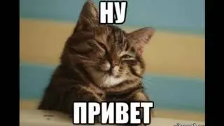 6 СМЕШНЫХ ЗАМЕЧАНИЙ ИЗ ДНЕВНИКА.