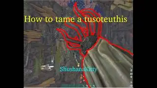 How to tame a Tusoteuthis | Aqutica