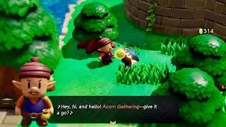 Acorn Gathering! | The Legend of Zelda: Echoes of Wisdom