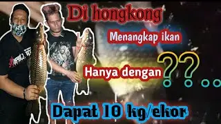 ¦¦MALAM HARI, CARI IKAN DI SUNGAI HONGKONG¦¦