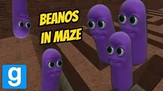 RUNNING FROM BEANOS IN GMOD! FT. SHOOTABIRDIE