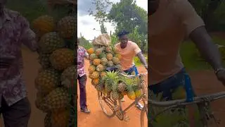 Pineapple fresh and sweet with reggae vibe. #pineapple #shorts #fruit