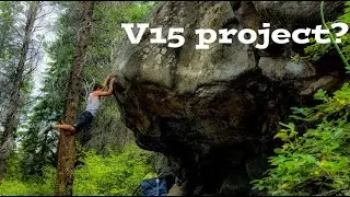 Trying A Potential v15/8C Project (Whychus Project)