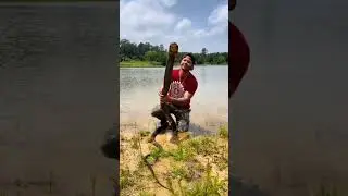 king cobra india viral video