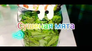 Сушеная мята. Описание. Полезные свойства и вред