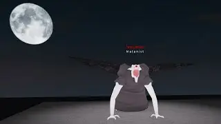 Etok2 PVP