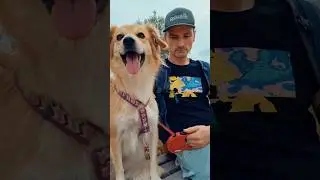 Раскопки / собака помогает вести раскопки