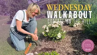 Let's Work in the Garden: Weed Control
