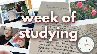 language learning full time??