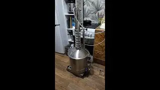 Бюджетный виски из пшеницы и ячменя на Домспирт 2