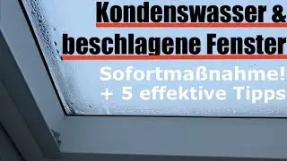 Kondenswasser: Fenster innen beschlagen - was tun & wie vermeiden