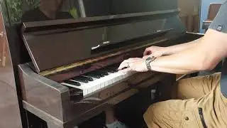 *SOLD* Churton Park Pianos - Pearl River Upright piano (Picard theme Piano)