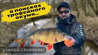 МЫ ЕГО НАШЛИ!😱ЗА ТРОФЕЙНЫМ ОКУНЁМ!Рыбалка на джиг.Зимний спиннинг.Братья Билан.