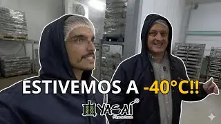 Estivemos a -40°C😱 - Visitando Empresas (Yasaí Alimentos)