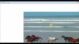 Macromedia Flash. Выдеоданные