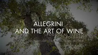 ALLEGRINI AND THE ART OF WINE