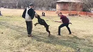 Тренинг с Иваном Шуваловым