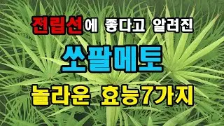 쏘팔메토 효능 7가지 알고 드세요~!!