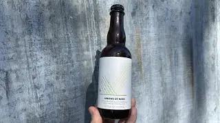 ARROWS OF NEON | Golden Sour Beer Aged In Oak w/ Lemon & Lime | The Rare Barrel, California, USA