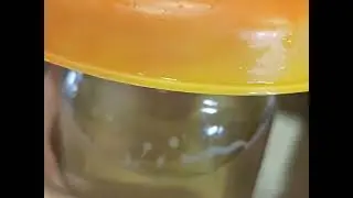 временное жилье,для цыплят.