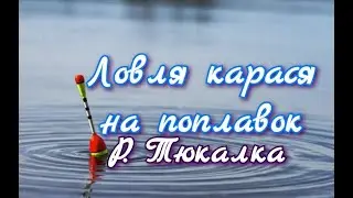 Рыбалка на реке Тюкалка. Рыбалка в Омской области