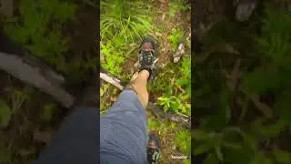 Hidden Florida Cave In The Woods
