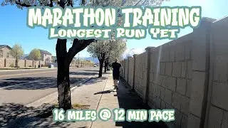 Marathon training - 16 miles was HARD