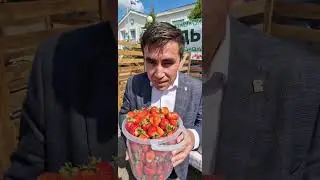 Клубничный край, фестиваль клубники в Шаранском районе, Башкирия 