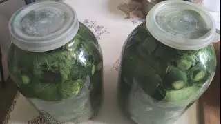Ядреные огурцы.                         Огурцы "хреновые".