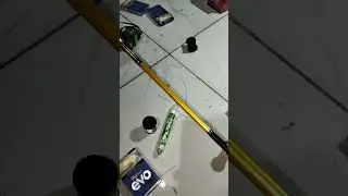 sudah sembuh dari penyakitnya siap angkat babon
