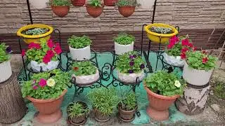 Мой цветочный рай. Серия 1.