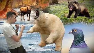 Which Of These Animals Could You Beat 1vs1?