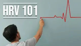 Everything You Should Know About Heart Rate Variability (HRV)