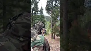 250 yds. first-round impact