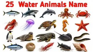 25 Water Animals Name English to Hindi I पानी में रहने वाले जानवरों के नाम । Sea Animals
